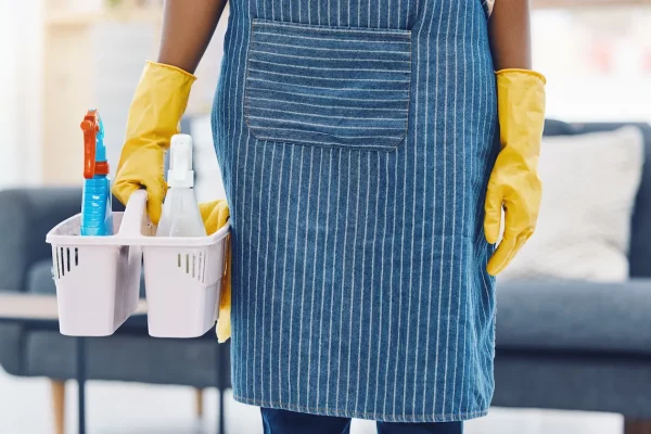 cleaning-service-product-basket-and-cleaner-for-m-2026-01-09-11-33-16-utc