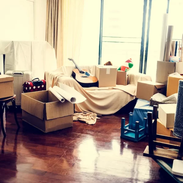 moving-t-2026-03-18-11-53-32-utc