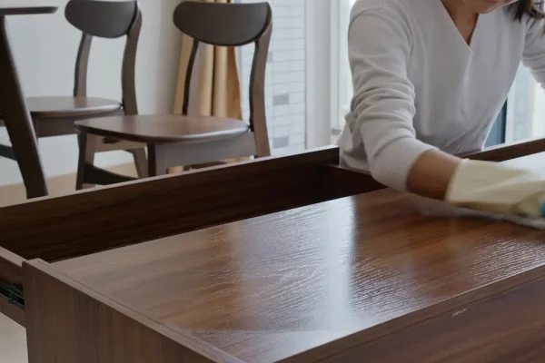 woman-clean-the-tv-cabinet-at-home-for-spring-clea-2026-03-24-22-00-20-utc