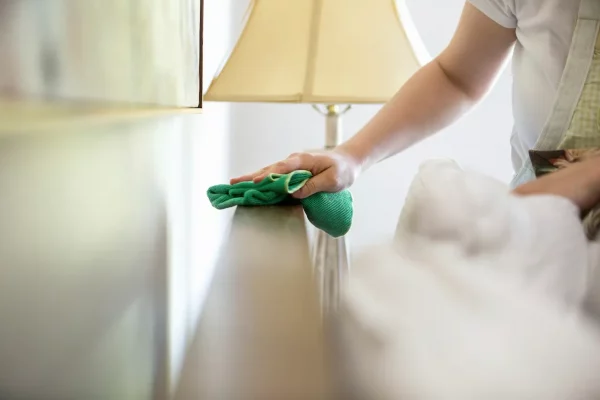 young-woman-cleaning-surfaces-with-green-cleaning-2026-03-25-02-16-43-utc
